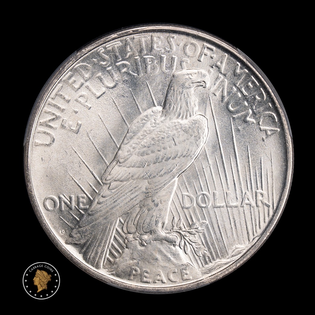 1923-D $1 Peace Dollar PCGS MS66 reverse