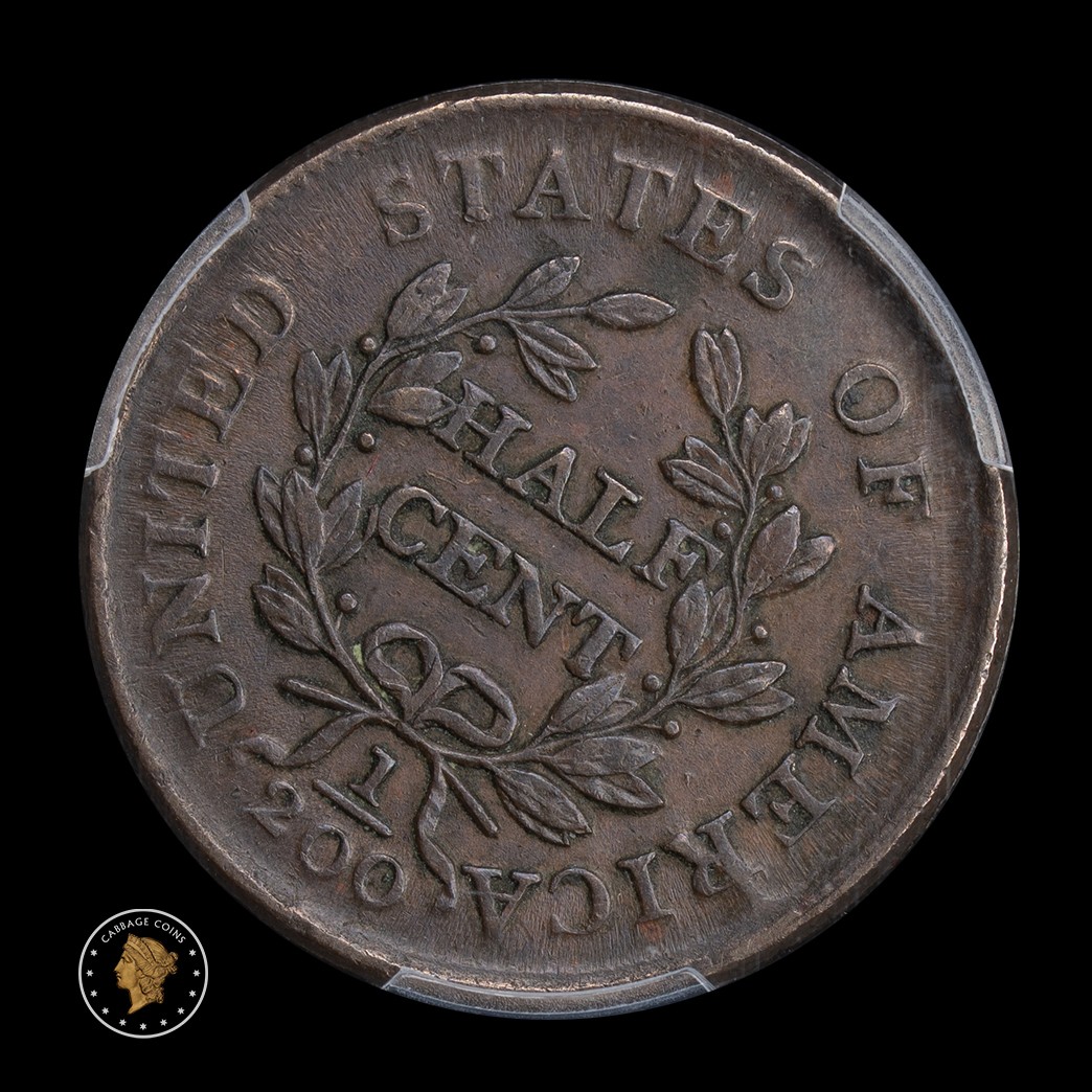 1804 1/2C Draped Bust Half Cent PCGS XF45 reverse