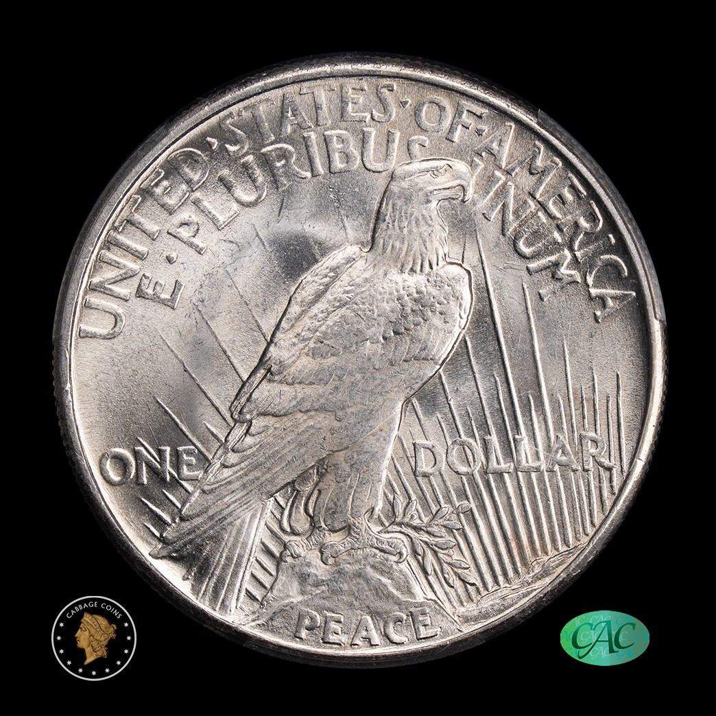 1921 $1 Peace Dollar High Relief PCGS MS63+ CAC reverse