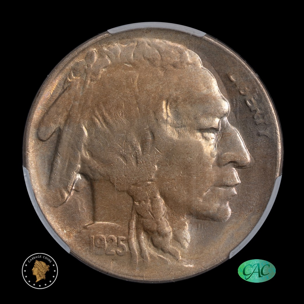 1925-S 5C Buffalo Nickel CAC MS63 Witterbrick (Gold)   in holder, view 1