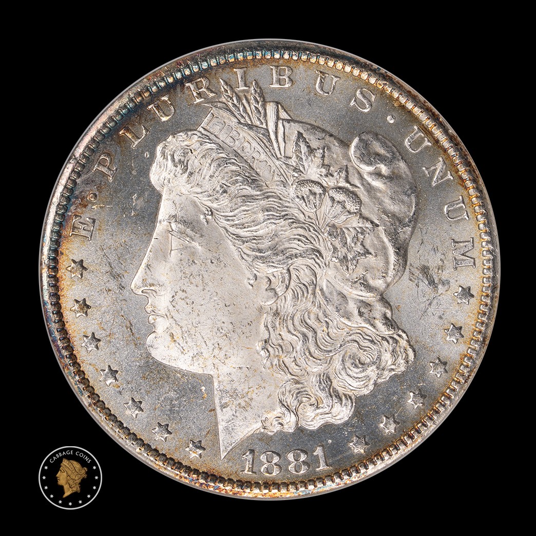 1881-CC $1 Morgan Silver Dollar ANACS MS63 (Soapbox) in holder, view 1