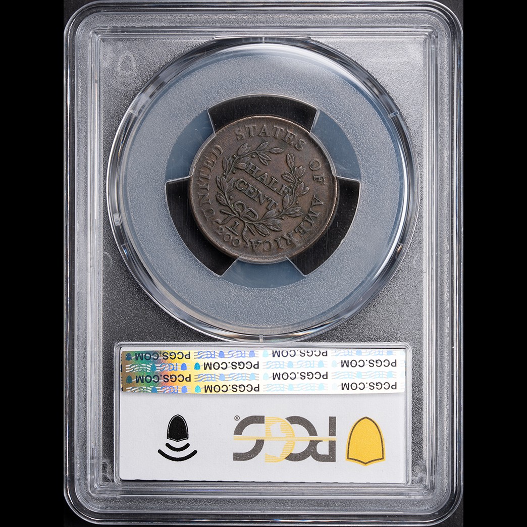 1804 1/2C Draped Bust Half Cent PCGS XF45 in holder, view 2