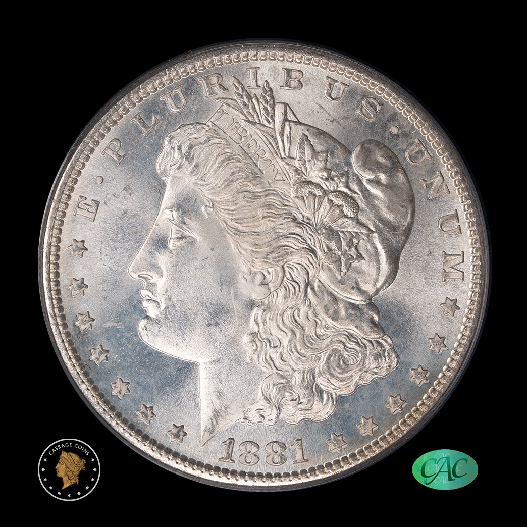 1881-S $1 Morgan Silver Dollar PCGS MS66 CAC OGH in holder, view 1