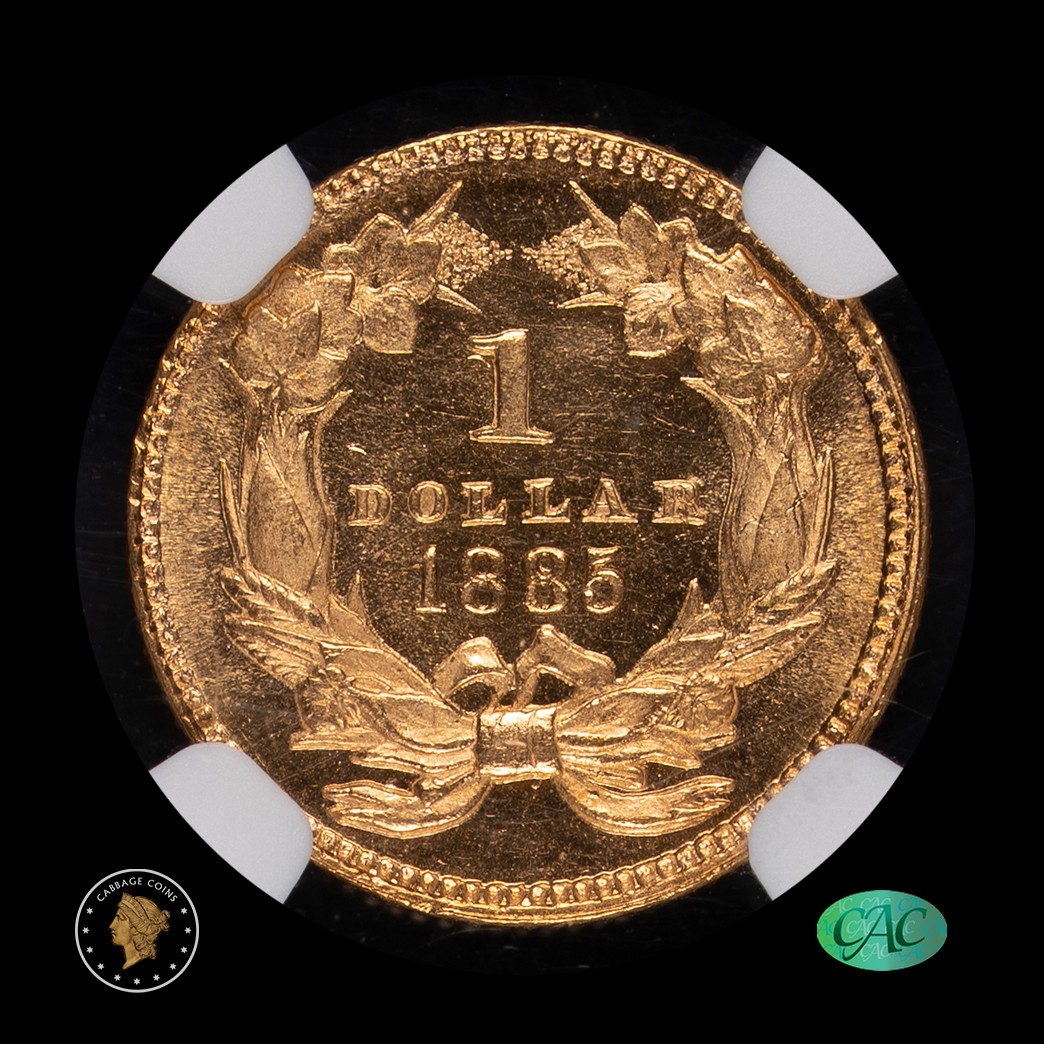 1885 G$1 Gold Dollar Type 3 NGC MS64 PL CAC in holder, view 4