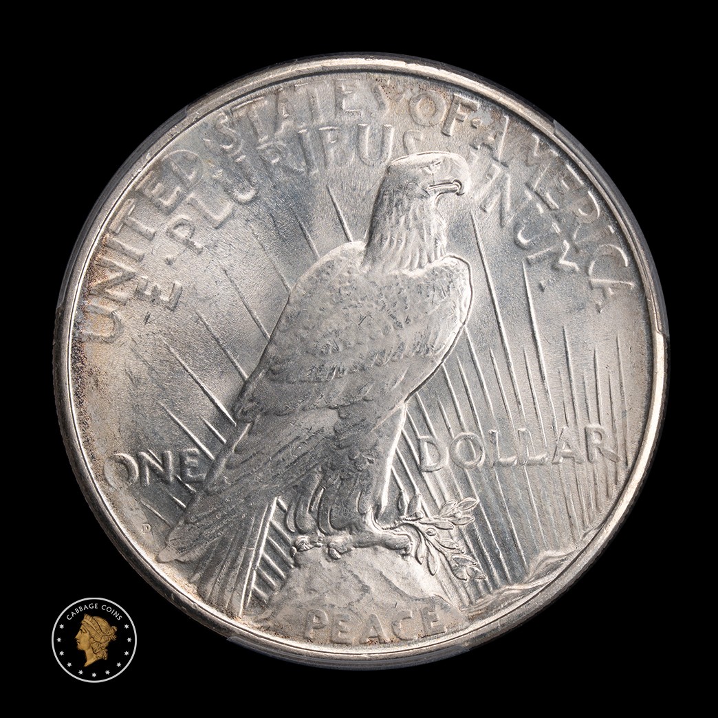 1926-D $1 Peace Dollar PCGS MS65 reverse