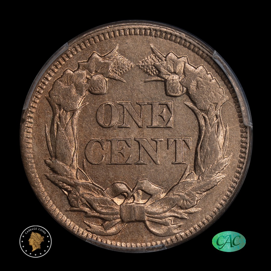1857 1C Flying Eagle Cent PCGS MS62 CAC reverse
