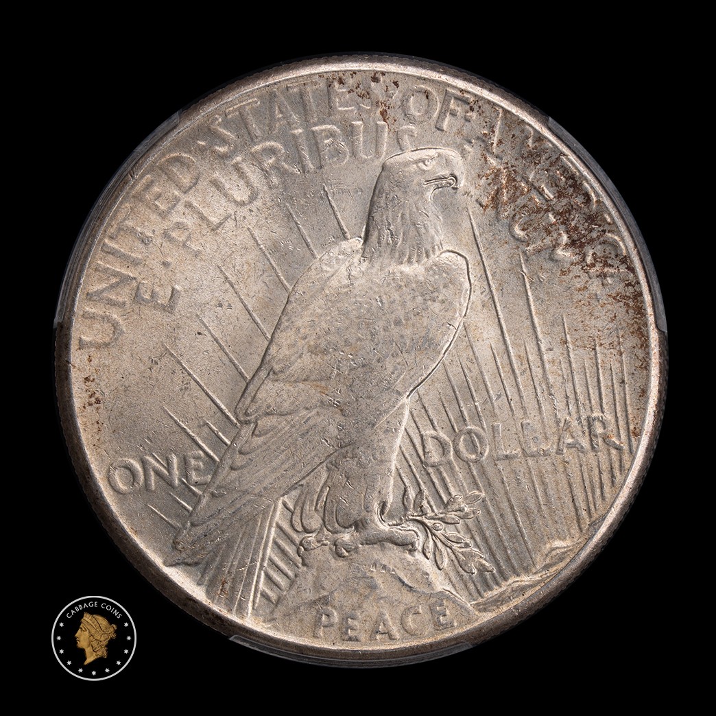 1928 $1 Silver Peace Dollar PCGS MS64 reverse