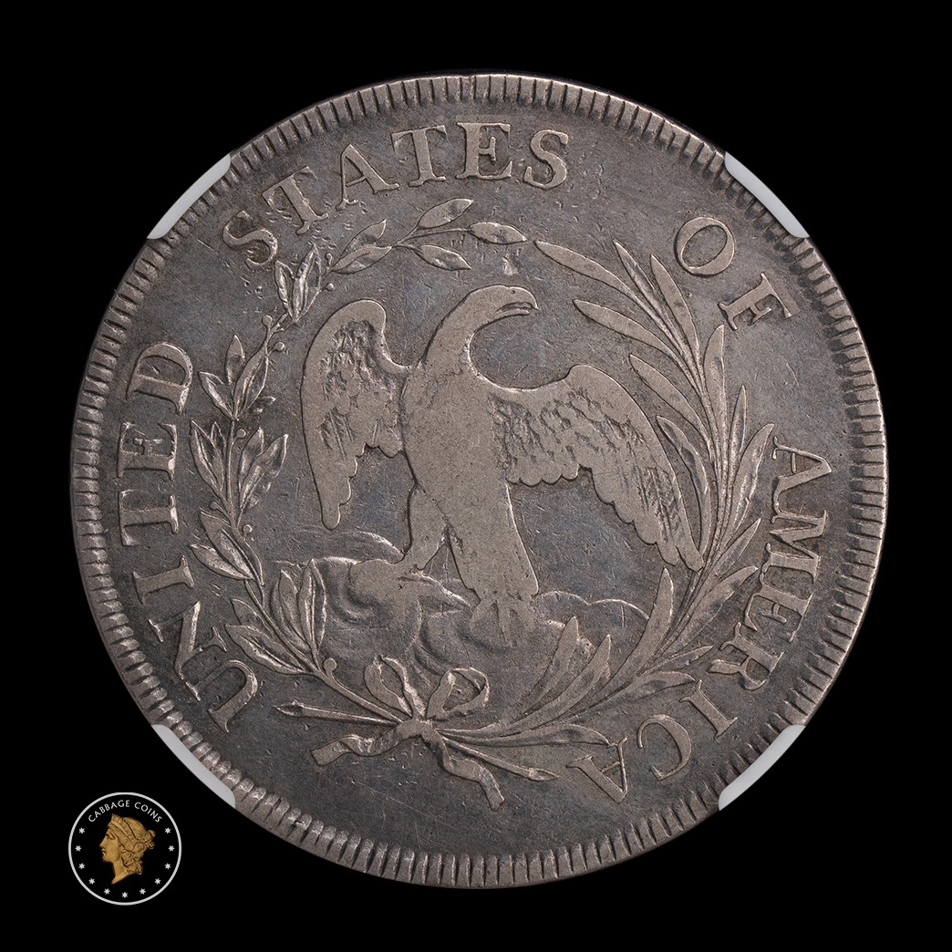 1796 $1 Draped Bust Dollar Small Date Large Letters NGC VF30 reverse