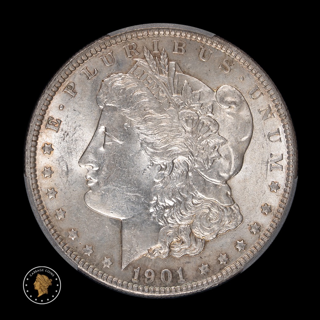 1901 $1 Morgan Silver Dollar PCGS MS62 in holder, view 3