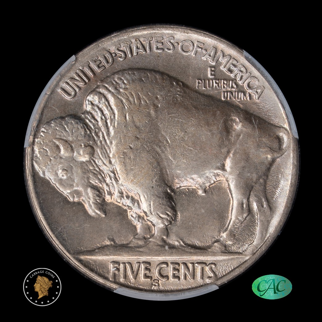 1925-S 5C Buffalo Nickel CAC MS63 Witterbrick (Gold)   in holder, view 2
