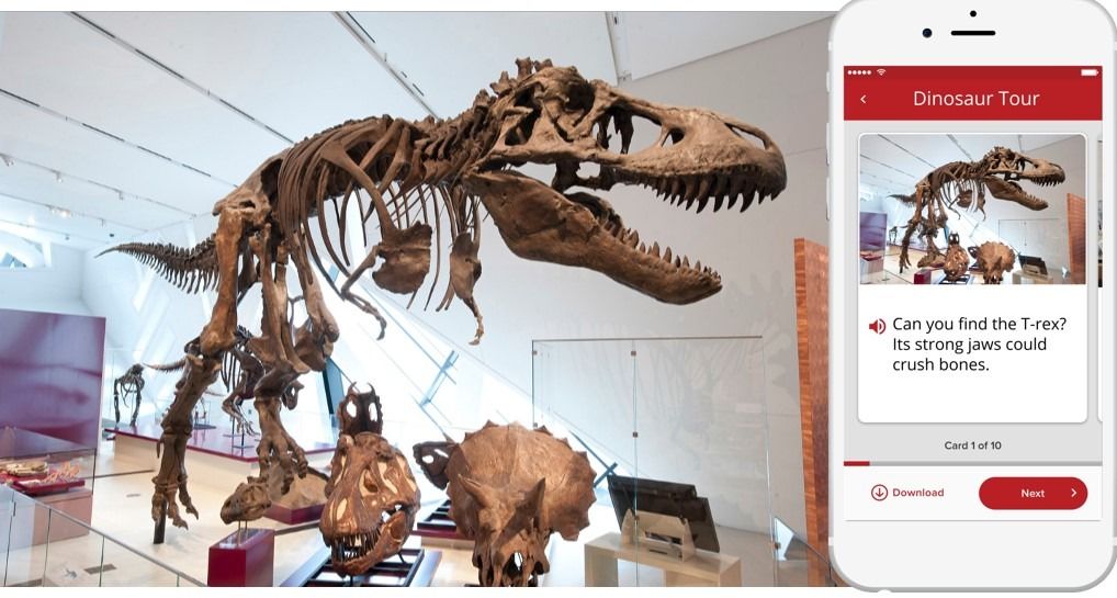 MagnusCards app being viewed at the Royal Ontario Museum