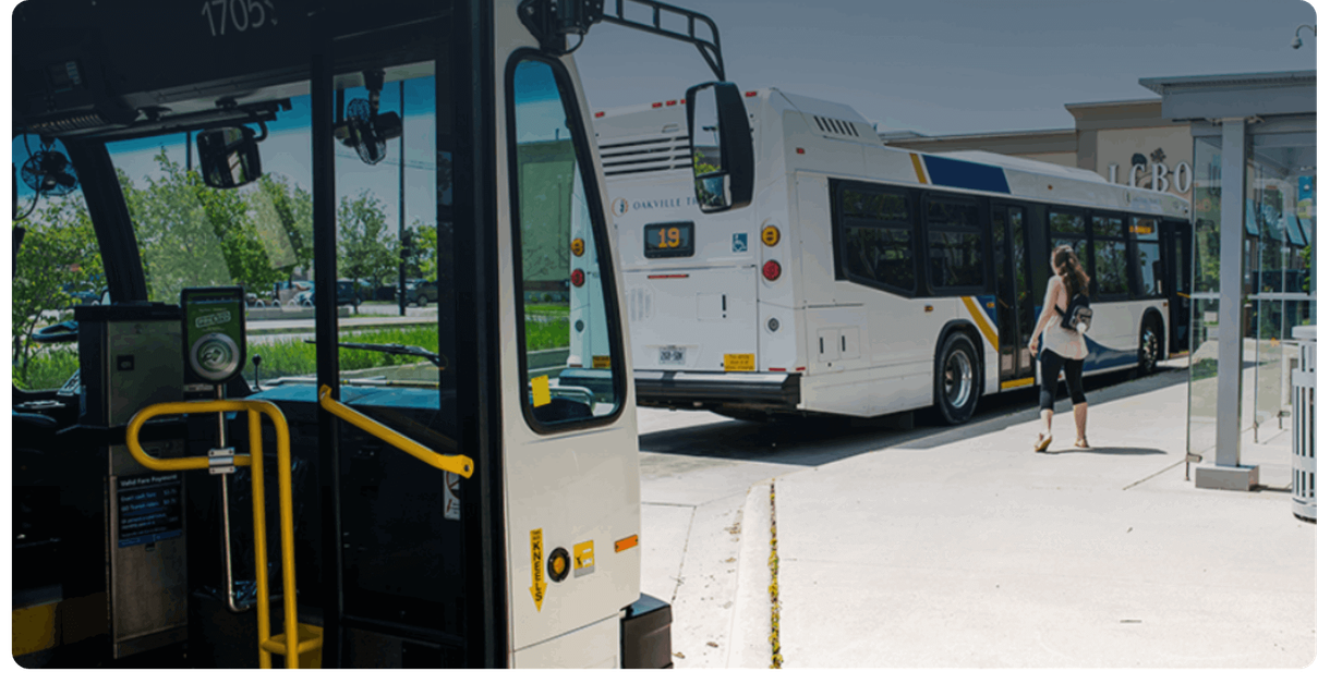 A rider walks from one Oakville Transit bus toward another