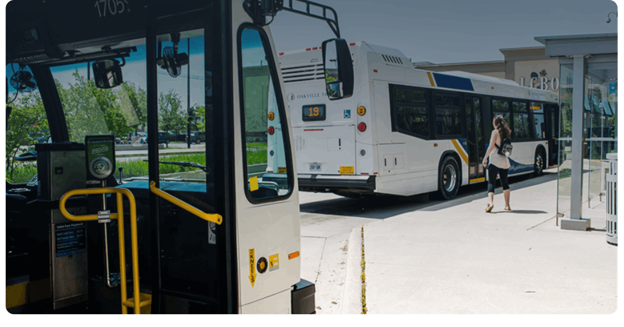 A rider walks from one Oakville Transit bus toward another