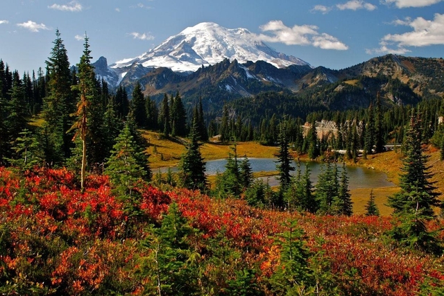 Mt. Rainier National Park