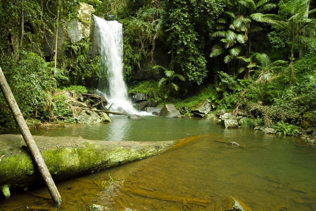 Tamborine National Park