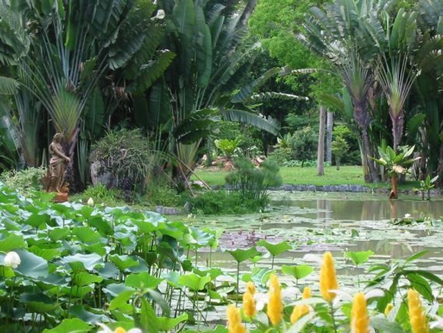 Rio de Janeiro Botanical Garden (Jardim Botanico)