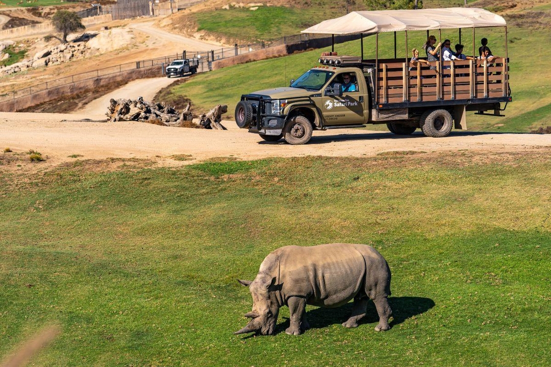 San Diego Zoo Safari Park