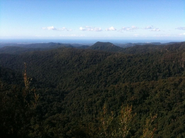 Springbrook National Park