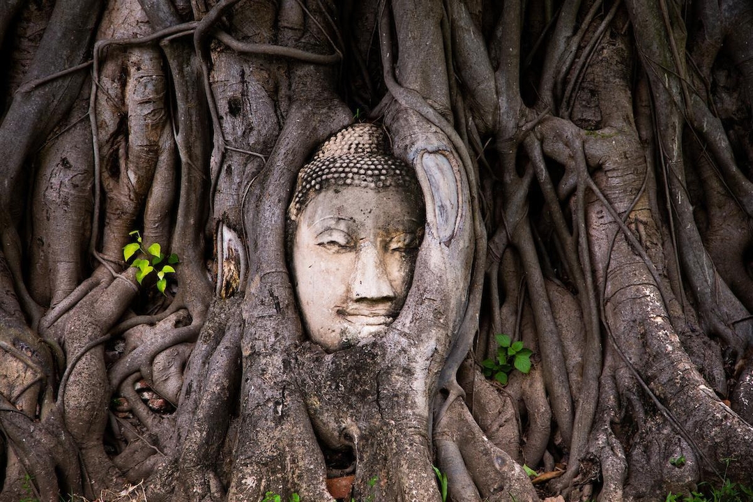 Ayutthaya