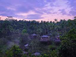 Capella Ubud, Bali Image 6