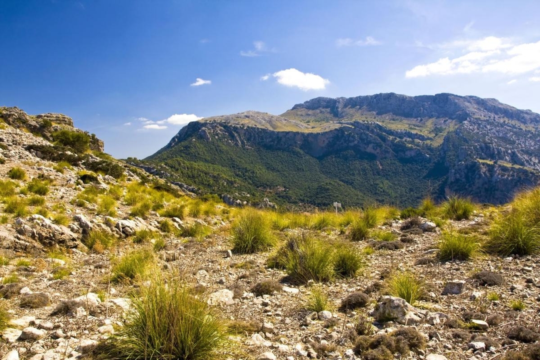 Sa Calobra Canyon and Beach (Torrent de Pareis)