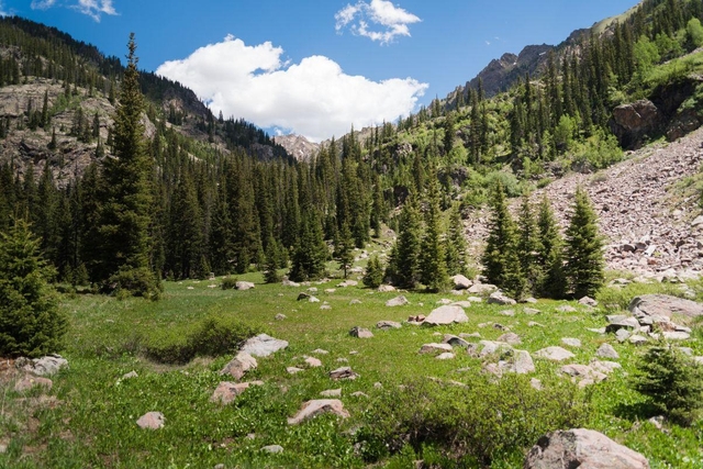 Booth Falls Trail