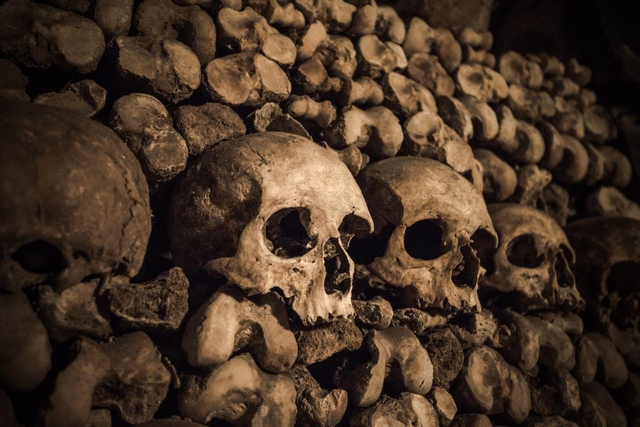 Paris Catacombs (Catacombes de Paris)