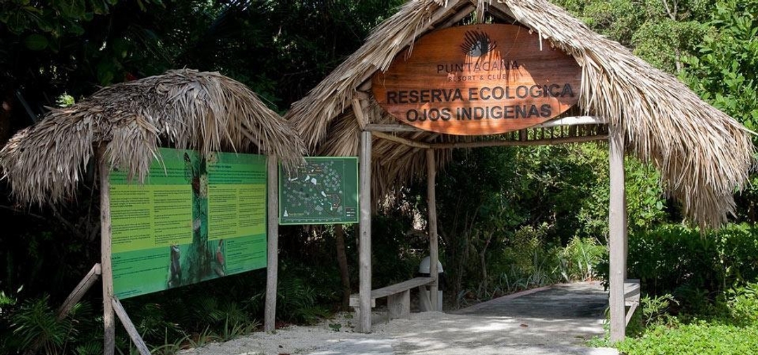 Indigenous Eyes Ecological Park and Reserve (Parque Ojos Indigenas)