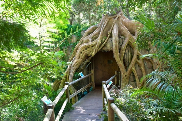 Glow Worm Caves Tamborine Mountain