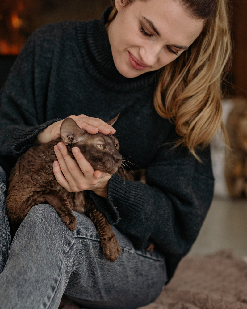 Happy pet