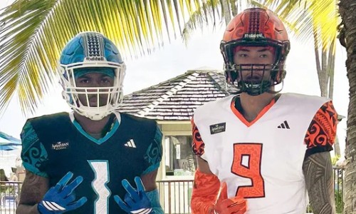 Polynesian Bowl