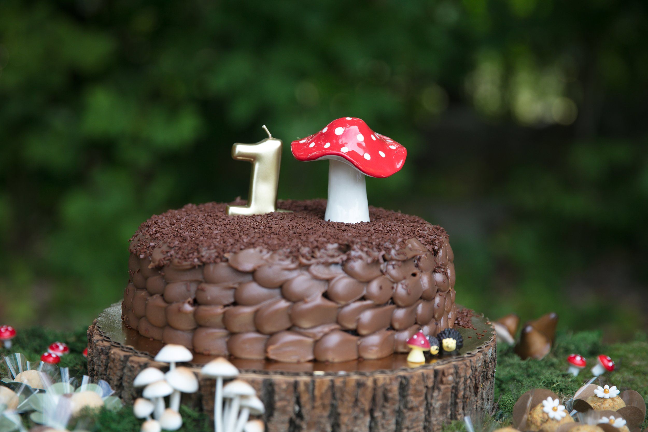Birthday party celebration photo 1​​​​‌﻿‍﻿​‍​‍‌‍﻿﻿‌﻿​‍‌‍‍‌‌‍‌﻿‌‍‍‌‌‍﻿‍​‍​‍​﻿‍‍​‍​‍‌﻿​﻿‌‍​‌‌‍﻿‍‌‍‍‌‌﻿‌​‌﻿‍‌​‍﻿‍‌‍‍‌‌‍﻿﻿​‍​‍​‍﻿​​‍​‍‌‍‍​‌﻿​‍‌‍‌‌‌‍‌‍​‍​‍​﻿‍‍​‍​‍​‍﻿﻿‌‍​‌‌‍‌​‌‍﻿‌‌‍‍‌‌‍﻿‍​‍﻿﻿‌‍‍‌‌‍﻿‍‌﻿‌​‌‍‌‌‌‍﻿‍‌﻿‌​​‍﻿﻿‌‍‌‌‌‍‌​‌‍‍‌‌﻿‌​​‍﻿﻿‌‍﻿‌‌‍﻿﻿‌‍‌​‌‍‌‌​﻿﻿‌‌﻿​​‌﻿​‍‌‍‌‌‌﻿​﻿‌‍‌‌‌‍﻿‍‌﻿‌​‌‍​‌‌﻿‌​‌‍‍‌‌‍﻿﻿‌‍﻿‍​﻿‍﻿‌‍‍‌‌‍‌​​﻿﻿‌‌﻿​​‌‍​‌‌‍‌﻿‌‍‌‌‌​​‍‌‍‍‌‌﻿​‍‌﻿‌​‌‍‍​‌‍‌​‌‍​‌‌﻿‍‌​﻿‍﻿‌﻿‌​‌﻿‍‌‌﻿​​‌‍‌‌​﻿﻿‌‌﻿​​‌‍​‌‌‍‌﻿‌‍‌‌‌​​‍‌‍‍‌‌﻿​‍‌﻿‌​‌‍‍​‌‍‌​‌‍​‌‌﻿‍‌​﻿‍﻿‌﻿​​‌‍​‌‌﻿‌​‌‍‍​​﻿﻿‌‌‍‌﻿‌‍​‌‌‍﻿​‌‍﻿​‌‍‌‌‌﻿​‍‌﻿‍‌‌​‍‌‌‍﻿‌‌‍​‌‌‍‌﻿‌‍‌‌‌﻿​﻿​‍‌‌​﻿‌‌‌​​‍‌‌﻿﻿‌‍‍﻿‌‍‌‌‌﻿‍‌​‍‌‌​﻿​﻿‌​‌​​‍‌‌​﻿​﻿‌​‌​​‍‌‌​﻿​‍​﻿​‍‌‍​‍‌‌﻿﻿​﻿​​‌‌﻿﻿​﻿​‌​﻿‌﻿​﻿‍‌​﻿​‌​﻿‌﻿​﻿‌﻿​﻿‍​​﻿‌‌​﻿‍‌​﻿‌﻿​﻿‍​​﻿​‌​﻿​﻿​‍‌‌​﻿​‍​﻿​‍​‍‌‌​﻿‌‌‌​‌​​‍﻿‍‌‍​‌‌‍﻿​‌﻿‌​​﻿﻿﻿‌‍​‍‌‍​‌‌﻿​﻿‌‍‌‌‌‌‌‌‌﻿​‍‌‍﻿​​﻿﻿‌​‍‌‌​﻿​‍‌​‌‍‌‍​‌‌‍‌​‌‍﻿‌‌‍‍‌‌‍﻿‍​‍‌‍‌‍‍‌‌‍‌​​﻿﻿‌‌﻿​​‌‍​‌‌‍‌﻿‌‍‌‌‌​​‍‌‍‍‌‌﻿​‍‌﻿‌​‌‍‍​‌‍‌​‌‍​‌‌﻿‍‌​‍‌‍‌﻿‌​‌﻿‍‌‌﻿​​‌‍‌‌​﻿﻿‌‌﻿​​‌‍​‌‌‍‌﻿‌‍‌‌‌​​‍‌‍‍‌‌﻿​‍‌﻿‌​‌‍‍​‌‍‌​‌‍​‌‌﻿‍‌​‍‌‍‌﻿​​‌‍​‌‌﻿‌​‌‍‍​​﻿﻿‌‌‍‌﻿‌‍​‌‌‍﻿​‌‍﻿​‌‍‌‌‌﻿​‍‌﻿‍‌‌​‍‌‌‍﻿‌‌‍​‌‌‍‌﻿‌‍‌‌‌﻿​﻿​‍‌‌​﻿‌‌‌​​‍‌‌﻿﻿‌‍‍﻿‌‍‌‌‌﻿‍‌​‍‌‌​﻿​﻿‌​‌​​‍‌‌​﻿​﻿‌​‌​​‍‌‌​﻿​‍​﻿​‍‌‍​‍‌‌﻿﻿​﻿​​‌‌﻿﻿​﻿​‌​﻿‌﻿​﻿‍‌​﻿​‌​﻿‌﻿​﻿‌﻿​﻿‍​​﻿‌‌​﻿‍‌​﻿‌﻿​﻿‍​​﻿​‌​﻿​﻿​‍‌‌​﻿​‍​﻿​‍​‍‌‌​﻿‌‌‌​‌​​‍﻿‍‌‍​‌‌‍﻿​‌﻿‌​​‍‌‍‌﻿​​‌‍‌‌‌﻿​‍‌﻿​﻿‌﻿​​‌‍‌‌‌‍​﻿‌﻿‌​‌‍‍‌‌﻿‌‍‌‍‌‌​﻿﻿‌‌﻿​​‌﻿‌‌‌‍​‍‌‍﻿​‌‍‍‌‌﻿​﻿‌‍‍​‌‍‌‌‌‍‌​​‍​‍‌﻿﻿‌