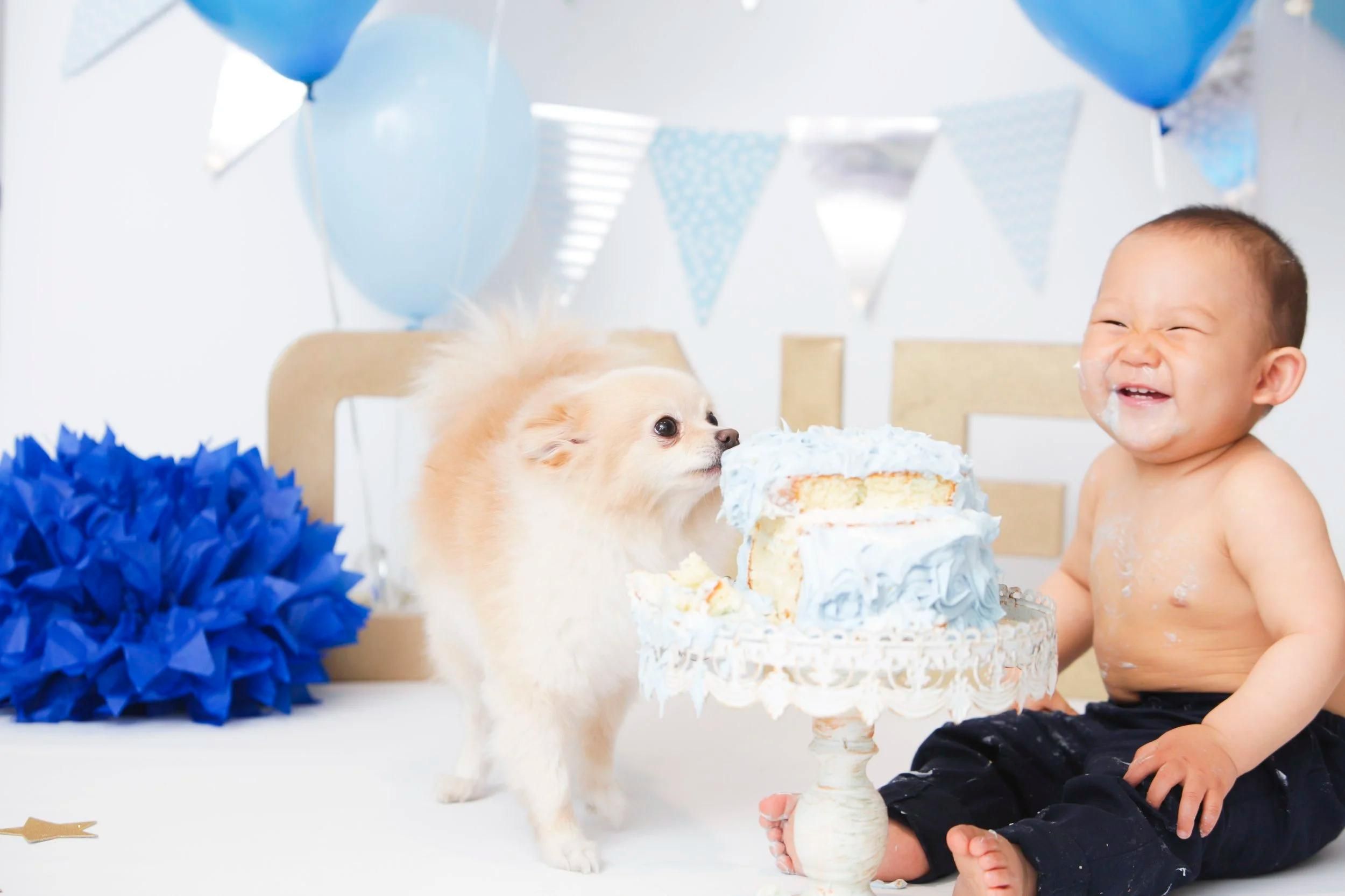 CAKE SMASH PHOTOGRAPHY​​​​‌﻿‍﻿​‍​‍‌‍﻿﻿‌﻿​‍‌‍‍‌‌‍‌﻿‌‍‍‌‌‍﻿‍​‍​‍​﻿‍‍​‍​‍‌﻿​﻿‌‍​‌‌‍﻿‍‌‍‍‌‌﻿‌​‌﻿‍‌​‍﻿‍‌‍‍‌‌‍﻿﻿​‍​‍​‍﻿​​‍​‍‌‍‍​‌﻿​‍‌‍‌‌‌‍‌‍​‍​‍​﻿‍‍​‍​‍​‍﻿﻿‌‍​‌‌‍‌​‌‍﻿‌‌‍‍‌‌‍﻿‍​‍﻿﻿‌‍‍‌‌‍﻿‍‌﻿‌​‌‍‌‌‌‍﻿‍‌﻿‌​​‍﻿﻿‌‍‌‌‌‍‌​‌‍‍‌‌﻿‌​​‍﻿﻿‌‍﻿‌‌‍﻿﻿‌‍‌​‌‍‌‌​﻿﻿‌‌﻿​​‌﻿​‍‌‍‌‌‌﻿​﻿‌‍‌‌‌‍﻿‍‌﻿‌​‌‍​‌‌﻿‌​‌‍‍‌‌‍﻿﻿‌‍﻿‍​﻿‍﻿‌‍‍‌‌‍‌​​﻿﻿‌‌‍‌﻿‌‍​‌‌‍﻿​‌‍﻿​‌‍‌‌‌﻿​‍‌﻿‍‌​‍﻿‌‌‍﻿‍‌﻿‍‌‌‍​﻿​‍﻿‌‌‍​﻿‌‍​‌‌‍‍﻿‌‍‌‌​‍﻿‌‌﻿​﻿‌‍﻿‌‌‍​‌‌﻿​﻿‌‍‍​​‍﻿‌‌﻿​​‌‍‍​‌‍﻿﻿‌﻿‌​‌‍﻿﻿‌‍‌﻿‌﻿​‍‌‍​‌‌﻿​​‌‍‍​‌‍‌‌‌﻿​‍​﻿‍﻿‌﻿‌​‌﻿‍‌‌﻿​​‌‍‌‌​﻿﻿‌‌‍‌﻿‌‍​‌‌‍﻿​‌‍﻿​‌‍‌‌‌﻿​‍‌﻿‍‌​﻿‍﻿‌﻿​​‌‍​‌‌﻿‌​‌‍‍​​﻿﻿‌‌‍‍​‌‍‌‌‌﻿​‍‌‍﻿﻿‌‌‌​‌‍‍‌‌﻿‌​‌‍﻿​‌‍‌‌​﻿﻿﻿‌‍​‍‌‍​‌‌﻿​﻿‌‍‌‌‌‌‌‌‌﻿​‍‌‍﻿​​﻿﻿‌​‍‌‌​﻿​‍‌​‌‍‌‍​‌‌‍‌​‌‍﻿‌‌‍‍‌‌‍﻿‍​‍‌‍‌‍‍‌‌‍‌​​﻿﻿‌‌‍‌﻿‌‍​‌‌‍﻿​‌‍﻿​‌‍‌‌‌﻿​‍‌﻿‍‌​‍﻿‌‌‍﻿‍‌﻿‍‌‌‍​﻿​‍﻿‌‌‍​﻿‌‍​‌‌‍‍﻿‌‍‌‌​‍﻿‌‌﻿​﻿‌‍﻿‌‌‍​‌‌﻿​﻿‌‍‍​​‍﻿‌‌﻿​​‌‍‍​‌‍﻿﻿‌﻿‌​‌‍﻿﻿‌‍‌﻿‌﻿​‍‌‍​‌‌﻿​​‌‍‍​‌‍‌‌‌﻿​‍​‍‌‍‌﻿‌​‌﻿‍‌‌﻿​​‌‍‌‌​﻿﻿‌‌‍‌﻿‌‍​‌‌‍﻿​‌‍﻿​‌‍‌‌‌﻿​‍‌﻿‍‌​‍‌‍‌﻿​​‌‍​‌‌﻿‌​‌‍‍​​﻿﻿‌‌‍‍​‌‍‌‌‌﻿​‍‌‍﻿﻿‌‌‌​‌‍‍‌‌﻿‌​‌‍﻿​‌‍‌‌​‍‌‍‌﻿​​‌‍‌‌‌﻿​‍‌﻿​﻿‌﻿​​‌‍‌‌‌‍​﻿‌﻿‌​‌‍‍‌‌﻿‌‍‌‍‌‌​﻿﻿‌‌﻿​​‌﻿‌‌‌‍​‍‌‍﻿​‌‍‍‌‌﻿​﻿‌‍‍​‌‍‌‌‌‍‌​​‍​‍‌﻿﻿‌ image 69