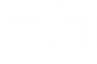 The View