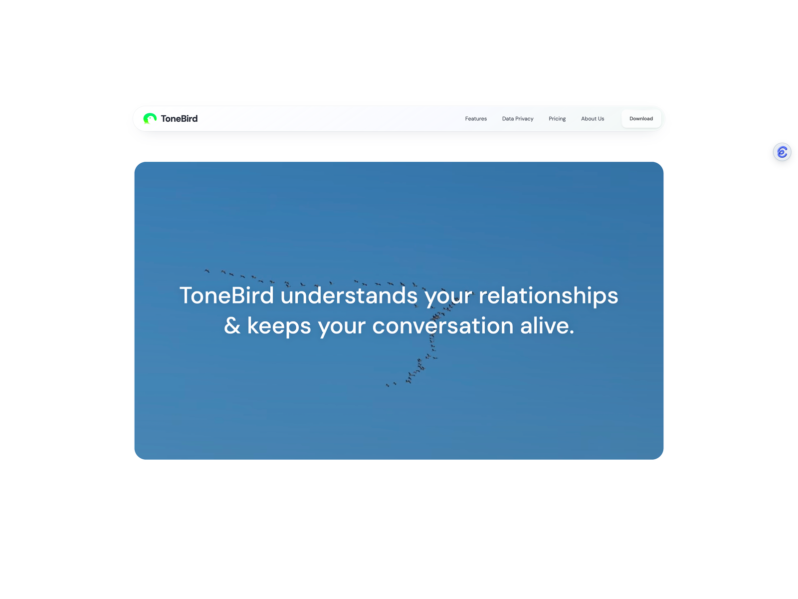ToneBird.ai screenshot