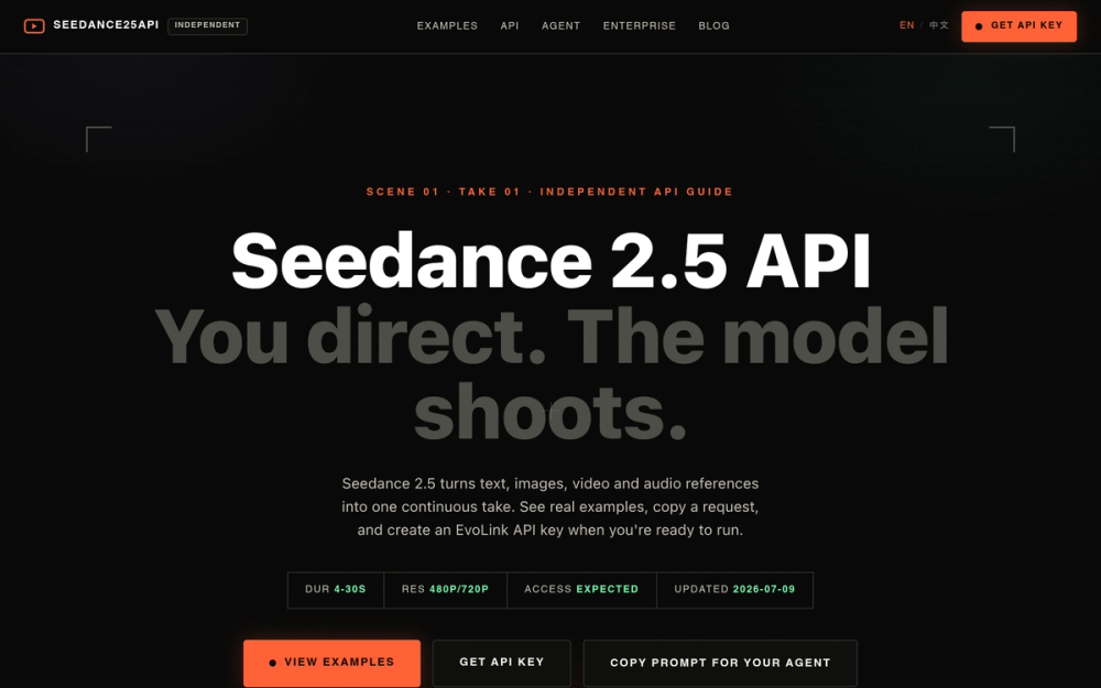 image of Seedance 2.5 API