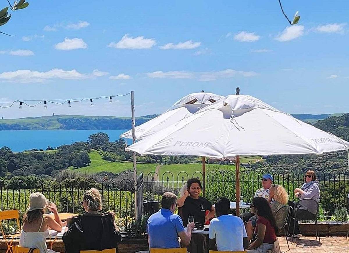 Waiheke Island Wine Tour with Scenic Vineyards & Tastings