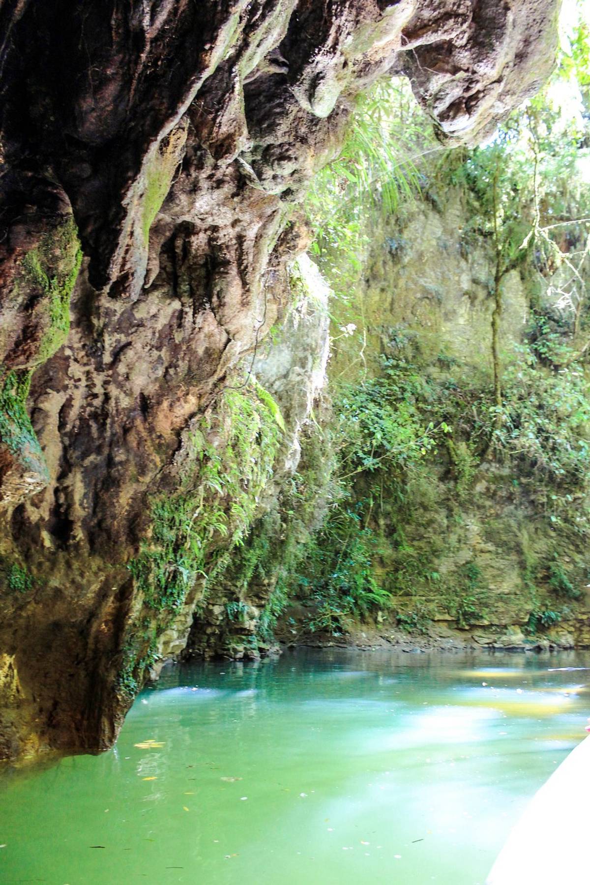 Waitomo Glowworm Caves