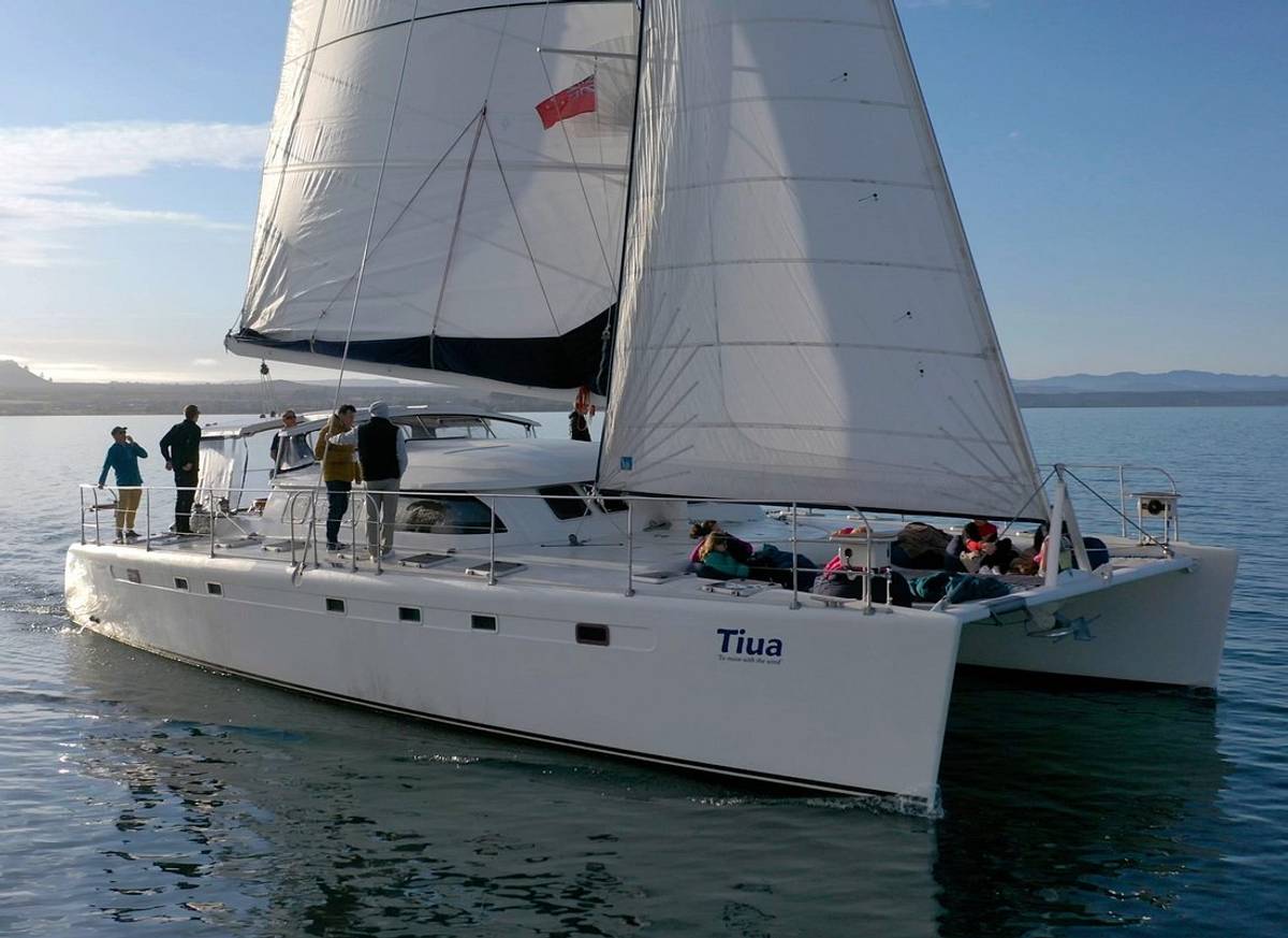 Luxury Sailing - Māori Rock Carvings - Taupo Sailing Adventures