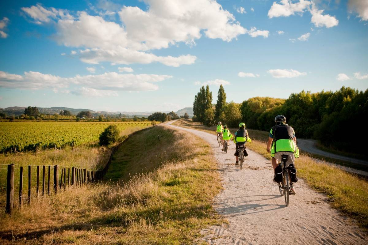 Get 15% off experiences in [Region] with Viator