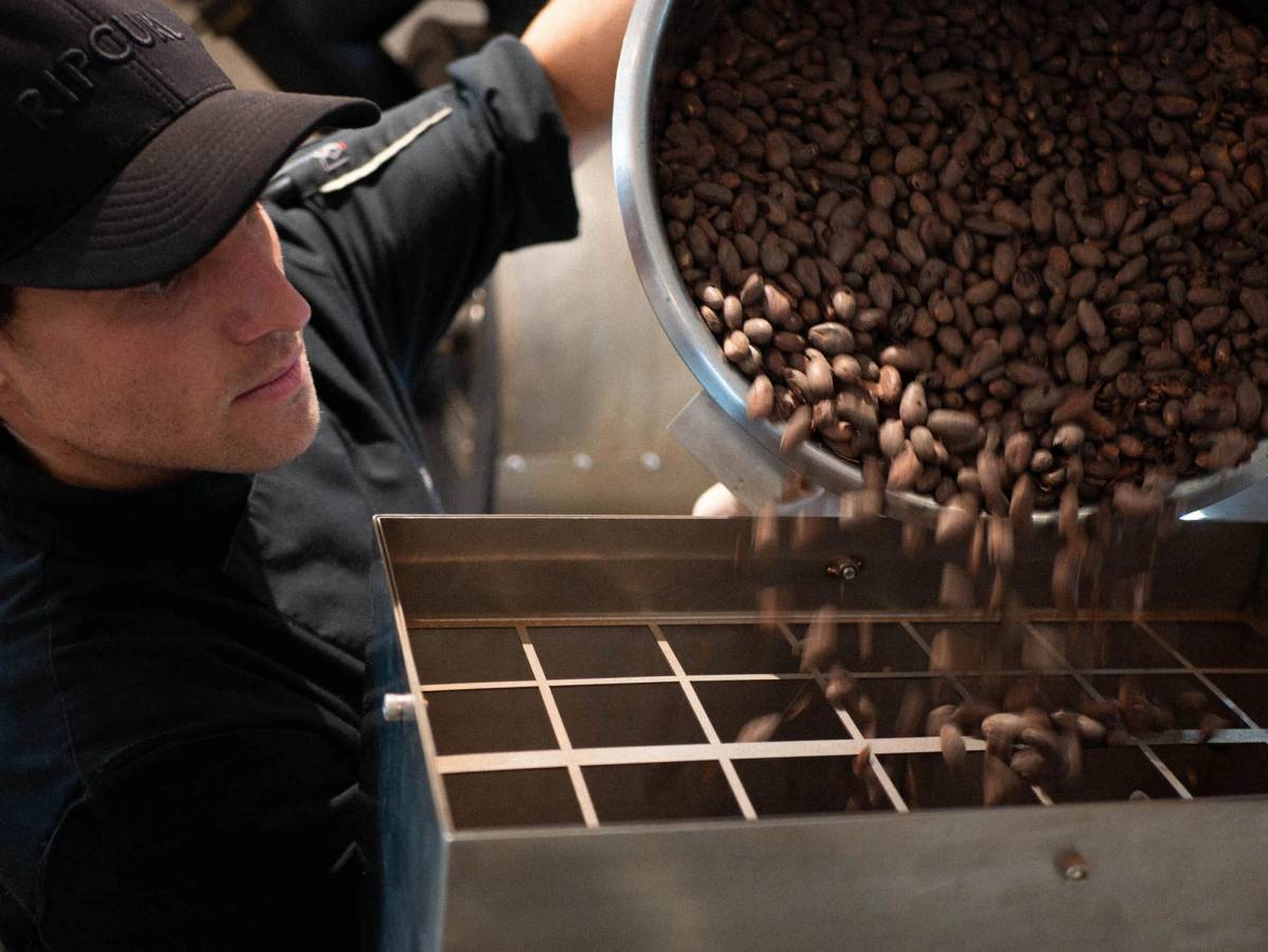 Get 15% off experiences in [Region] with Viator