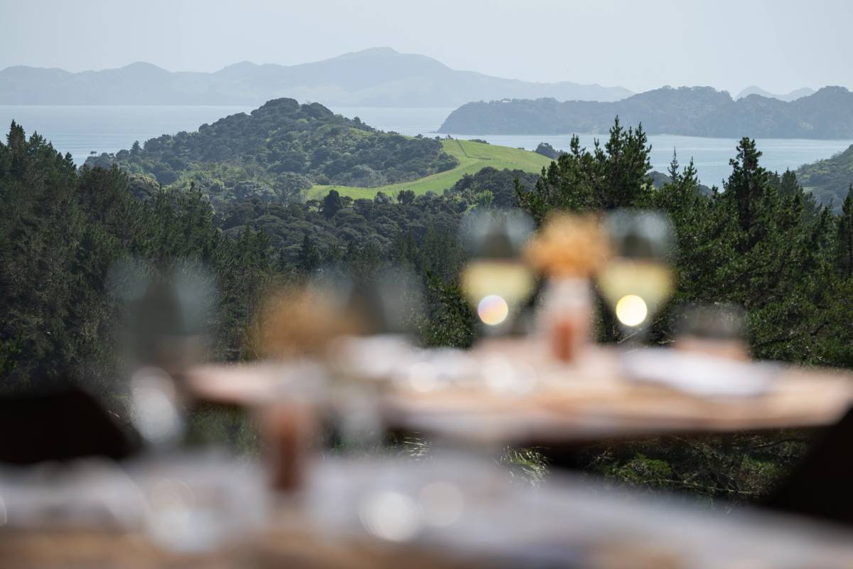 Get 15% off experiences in [Region] with Viator