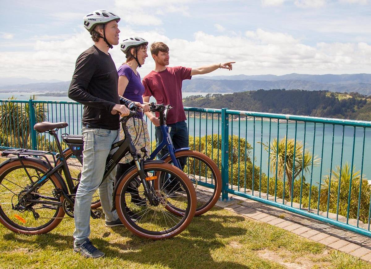 Guided Wellington Tour by Electric Bike
