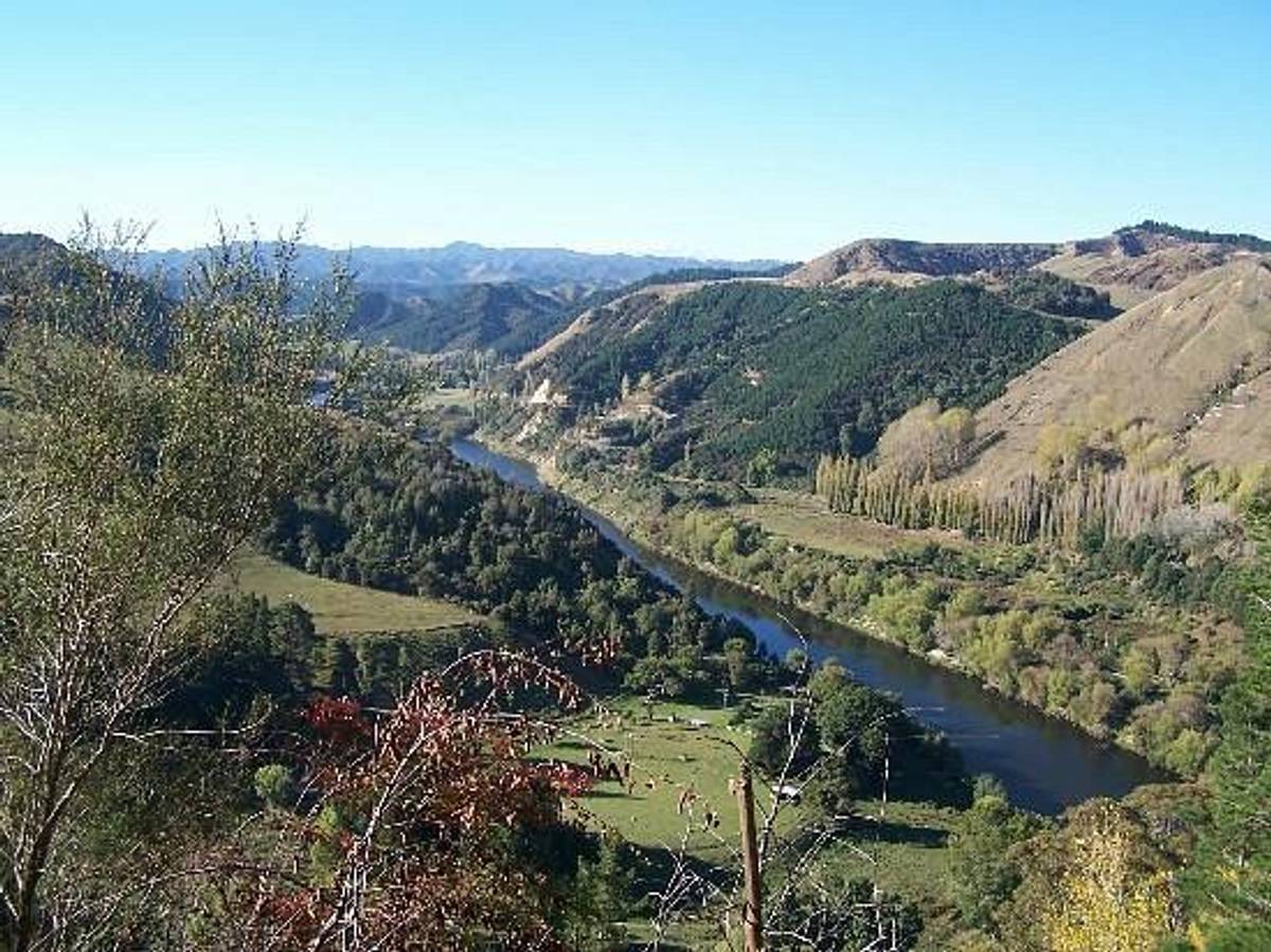 Whanganui River Adventures