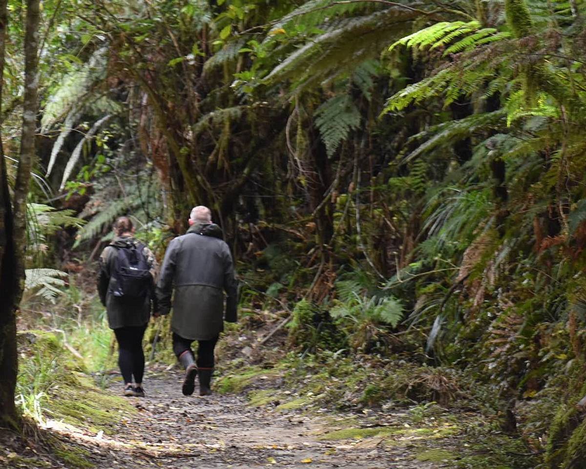Bridge To Nowhere Tours