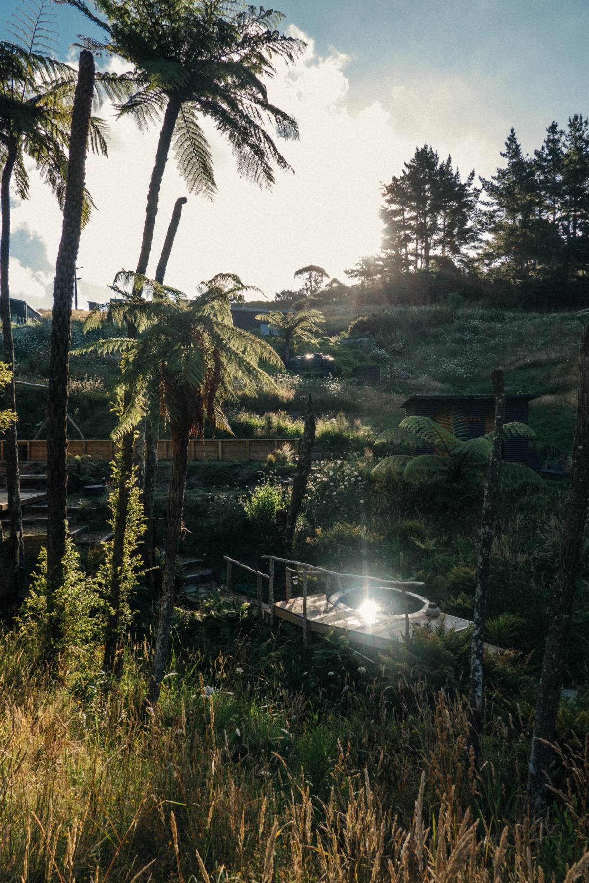 Get 15% off experiences in [Region] with Viator