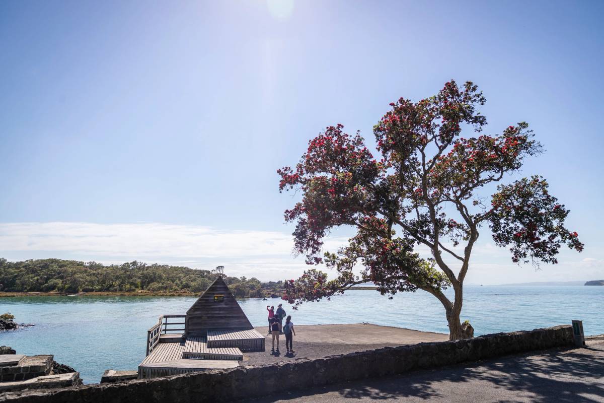 Get 15% off experiences in [Region] with Viator