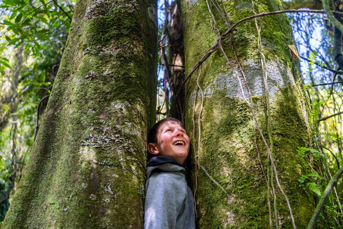 Get 15% off experiences in [Region] with Viator