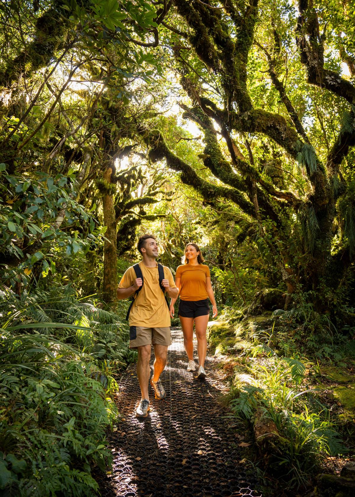 Get 15% off experiences in [Region] with Viator