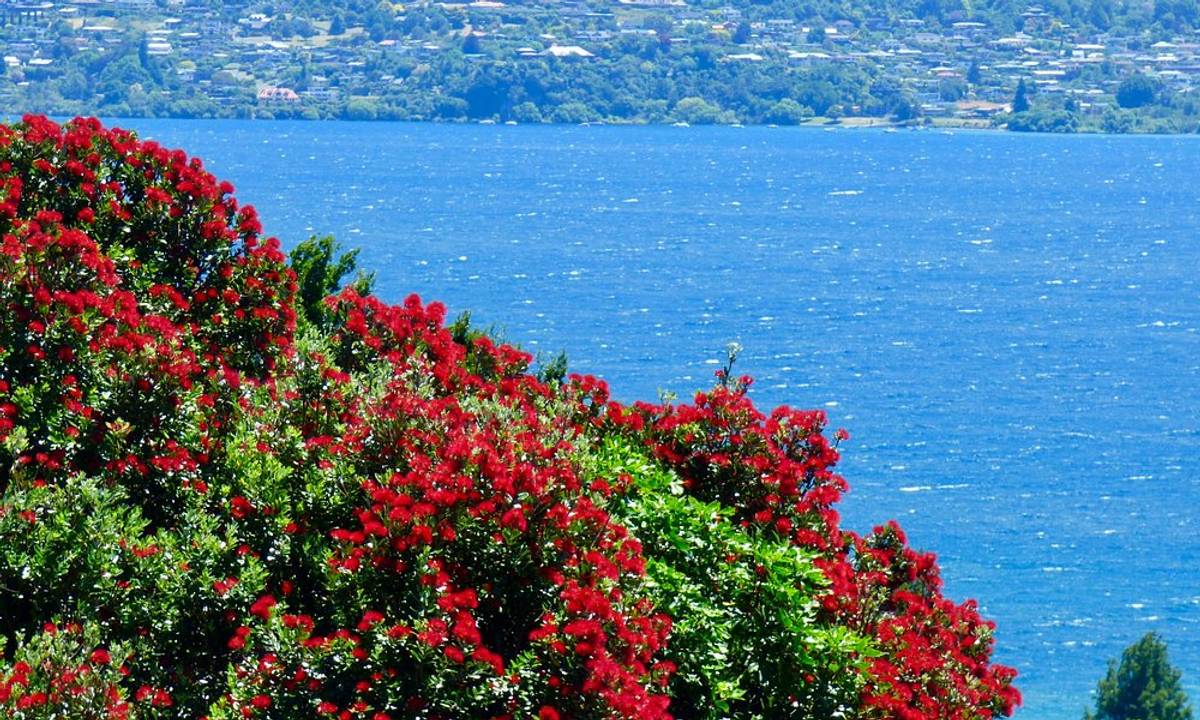 Waipahihi Botanical Gardens